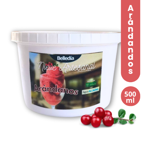 Nieve De Arándanos Artesanal Natural 500ml